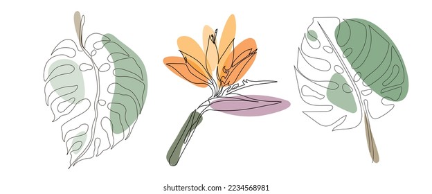 Set of continuous one line drawing of monstera leaves and paradise flower. Beautiful floral linear tropical art isolated on a white background. Vector illustration.