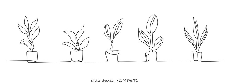 Set of continuous one line drawing of a flowers in a pots