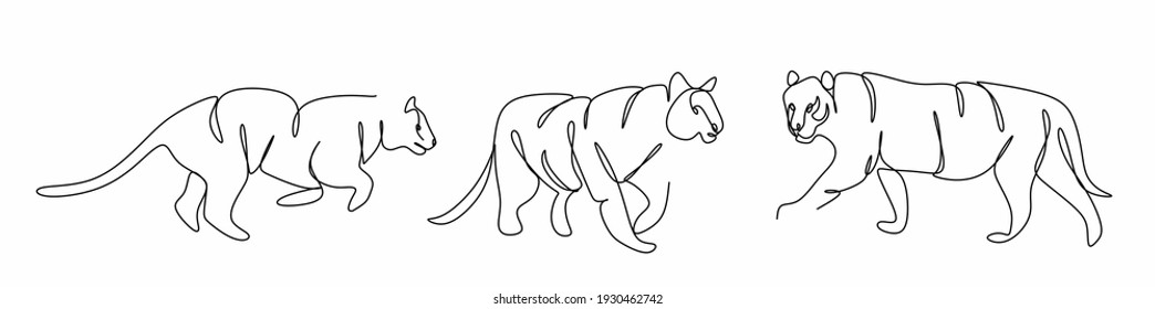 set of continuous tiger line drawings for poster, brochure, banner, invitation card, neon lighting, t-shirt print, isolated on white background.