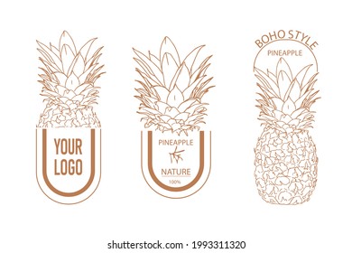 Conjunto de contornos, logos abstractos de piña en estilo boho. Ilustración vectorial.