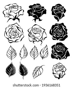 Set of contour, black, silhouette, artistically drawn flowers, buds and leaves of roses, on white background.