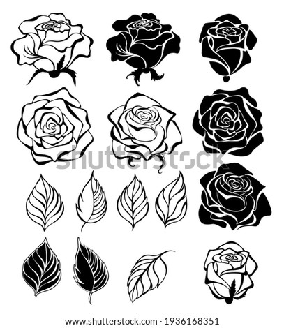 Set of contour, black, silhouette, artistically drawn flowers, buds and leaves of roses, on white background.
