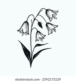 set of contour bluebell, line art of flowers, leaves
black and white illustration, 
set of decorative elements of plants