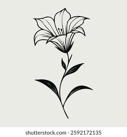 set of contour bluebell, line art of flowers, leaves
black and white illustration, 
set of decorative elements of plants