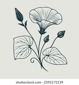 set of contour bluebell, line art of flowers, leaves
black and white illustration, 
set of decorative elements of plants