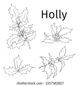 Set of contour branches of holly. Black and white linear illustration hand-drawn with ink on a white background.