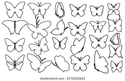 set a contour butterfly outline vector design 