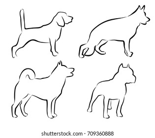 set contour dogs. simple vector illustration. petshop, veterinary, shelter