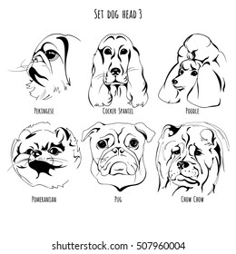 A Set Of Contour Drawing Breed Pekingese, Poodle, Cocker , Pomeranian, Pug, Chow Chow