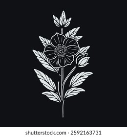 set of contour flower, line art of flowers, leaves, black and white illustration, decorative elements of plants, Doodle floral elements. for cards, invitations, banners, posters, logo, print design. 