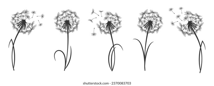 Conjunto de contorno fluffy dientes de león con semillas. Dibujo de logotipo lineal de flor silvestre. Iconos, vector