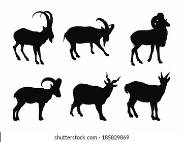 set contour goats