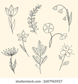 Set of contour hand drawn vector flowers on ivory background
