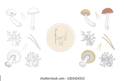 Set of contour hand-drawn mushrooms, reindeer moss, pine needles. Vector forest theme set