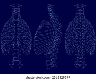 Set of contour Human chest skeleton vector illustration