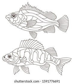 Set of contour illustrations of stained glass Windows with perch, sea and river perch, dark contours isolated on white background