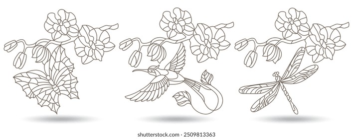 A set of contour illustrations of stained glass Windows with Hummingbird, butterflies, dragonflies and orchids