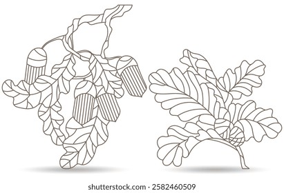 Set of contour illustrations of stained glass Windows with oak branches, acorns and leaves, dark contours on a white background