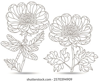 Set of contour illustrations of stained-glass Windows with flowers dragonflys and butterflies, dark contours isolated on a white background