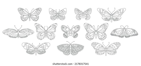 Set of contour images of butterflies isolated on white background. Vector illustration, hand drawing.