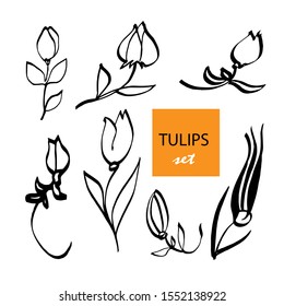 Set of contour images of tulips. vector