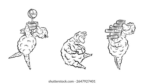 A set of contour lamps of Alpack for scientists, lessons, education. Illustration for paintings, design, and stickers.