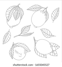 Set of contour lemons with leaves. Linear merge. Vector image on a white background.