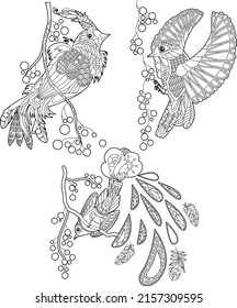 Set. Kontrast Lineargrafik zum Farbbuch mit dekorativem Paradiesvogel. Schöner tropischer Vogel. Line Art Design für Erwachsene oder Kinder im Zen-Dreieck-Stil, Tattoo und Farbseite.
