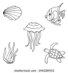 Set of contour marine elements. Fish, shell, turtle, seaweed, jellyfish. Cartoon vector design