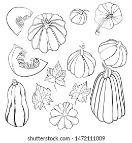 Set of contour pumpkins on a white background