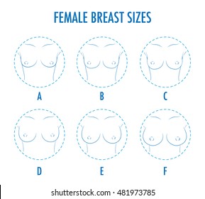Set of contour round icons of different female breast size, body front view. Various boobs sizes, from small to large. Sizes of busts, from A to F. Vector isolated, monochrome. 