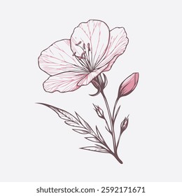 set of contour spring flowers carnation, line art floral, leaves, black and white illustration marigolds, 
set of decorative elements of plants Cosmos, Doodle flower illustration. 