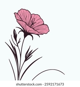 set of contour spring flowers carnation, line art floral, leaves, black and white illustration marigolds, 
set of decorative elements of plants Cosmos, Doodle flower illustration. 