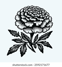 set of contour spring flowers carnation, line art floral, leaves, black and white illustration marigolds, 
set of decorative elements of plants Cosmos, Doodle flower illustration. 