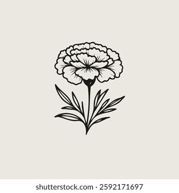 set of contour spring flowers carnation, line art floral, leaves, black and white illustration marigolds, 
set of decorative elements of plants Cosmos, Doodle flower illustration. 