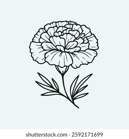 set of contour spring flowers carnation, line art floral, leaves, black and white illustration marigolds, 
set of decorative elements of plants Cosmos, Doodle flower illustration. 