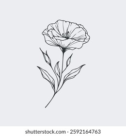 set of contour spring flowers eustoma, line art floral, leaves, black and white illustration lisianthus, set of decorative elements of plants Eschscholzia, Hand drawn illustration. 