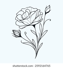 set of contour spring flowers eustoma, line art floral, leaves, black and white illustration lisianthus, set of decorative elements of plants Eschscholzia, Hand drawn illustration. 