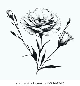 set of contour spring flowers eustoma, line art floral, leaves, black and white illustration lisianthus, set of decorative elements of plants Eschscholzia, Hand drawn illustration. 