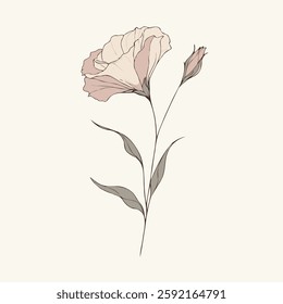 set of contour spring flowers eustoma, line art floral, leaves, black and white illustration lisianthus, set of decorative elements of plants Eschscholzia, Hand drawn illustration. 