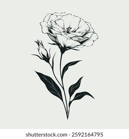 set of contour spring flowers eustoma, line art floral, leaves, black and white illustration lisianthus, set of decorative elements of plants Eschscholzia, Hand drawn illustration. 