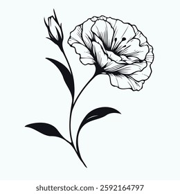 set of contour spring flowers eustoma, line art floral, leaves, black and white illustration lisianthus, set of decorative elements of plants Eschscholzia, Hand drawn illustration. 