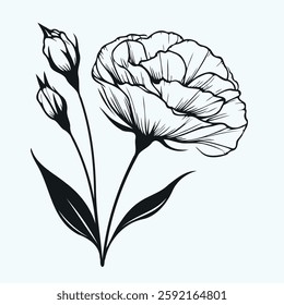 set of contour spring flowers eustoma, line art floral, leaves, black and white illustration lisianthus, set of decorative elements of plants Eschscholzia, Hand drawn illustration. 