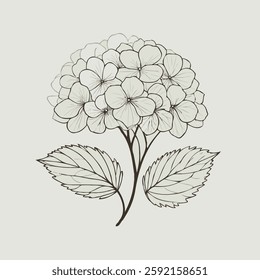 set of contour spring flowers Geranium, 
line art floral, leaves, 
black and white illustration Hydrangea, 
set of decorative elements of plants stylized Rhododendron