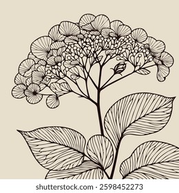 set of contour spring flowers Geranium, 
line art floral drawing, leaves, 
black and white illustration Hydrangea, 
set of decorative elements of plants stylized Rhododendron