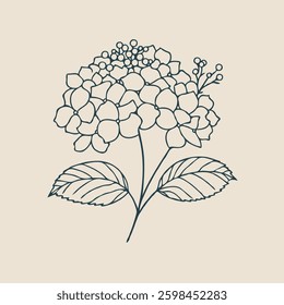 set of contour spring flowers Geranium, 
line art floral drawing, leaves, 
black and white illustration Hydrangea, 
set of decorative elements of plants stylized Rhododendron