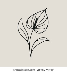 set of contour spring flowers Spathiphyllum, line art floral, outline leaves, stems, black and white illustration Anthurium, decorative elements of plants stylized Aglaonema, flower Calla