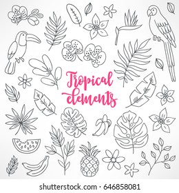 Set of contour tropical elements. Toucan, macaw, bamboo, pineapple, orchid, watermelon, banana, palm leaves. Cartoon design