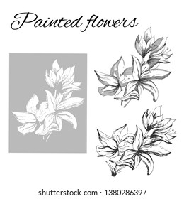 A set of contour of vector flowers. Sketch of a flower drawn by ink. Clipart outline for use in design.