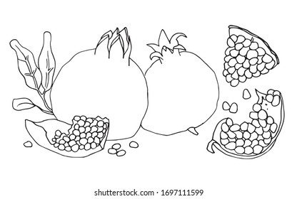 Un conjunto de ilustraciones vectoriales de contorno con granadas enteras y trozos de granadas.